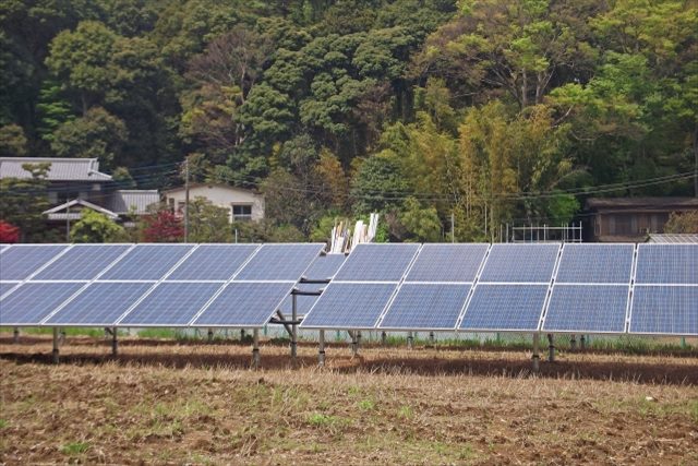 太陽光発電で除草が必要な野立てでお困りなら【さぬき電力】へ