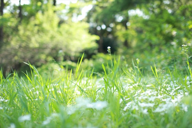 太陽光発電の発電効率が低下する原因