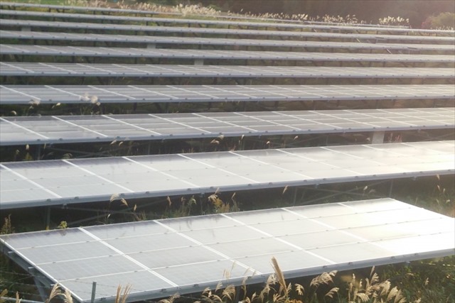 太陽光発電の雑草対策の必要性